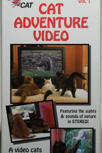 Poster de Filme Cat Adventure Video (1993)