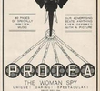 Protéa