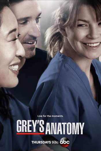  de Série A Anatomia de Grey (10ª Temporada) (2013)