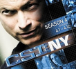 CSI: Nova Iorque (4ª Temporada)