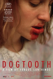 Dente Canino - Poster / Capa / Cartaz - Oficial 3