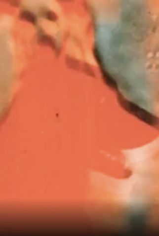 Poster 1 de Curta Brute Charm (1989)