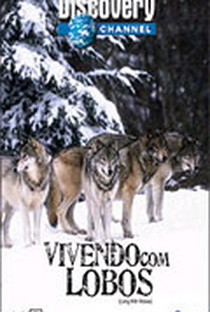 Vivendo Com Lobos - Discovery Channel - Poster / Capa / Cartaz - Oficial 1
