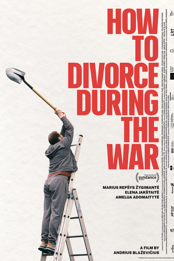 Poster de Filme How to Divorce During the War (2026)