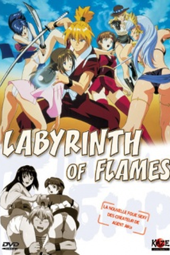 Poster de Série Honoo no Labyrinth (2000)