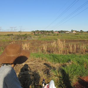 Foto de perfil de Carolina Santana