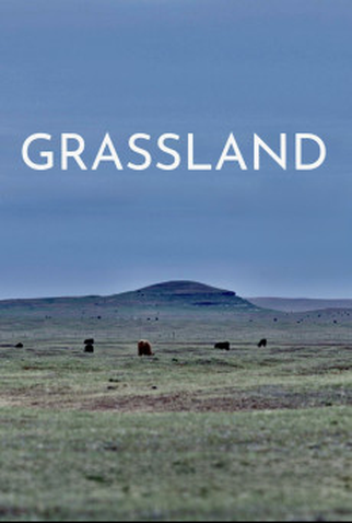 Poster 1 de Filme Grassland (2023)