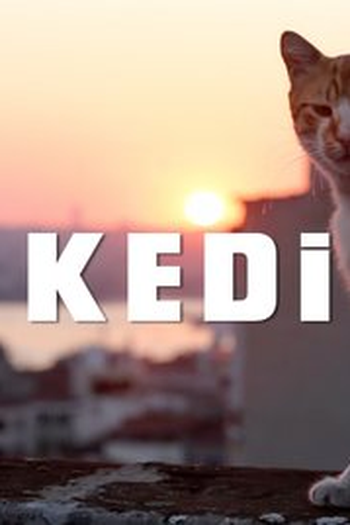  de Filme Gatos (2016)