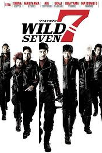 Poster de Filme Wild 7 (2011)