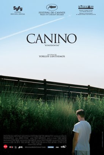 Dente Canino - Poster / Capa / Cartaz - Oficial 5