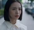 彼岸的敵人