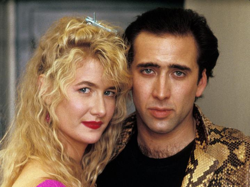 Foto 34 de Coração Selvagem