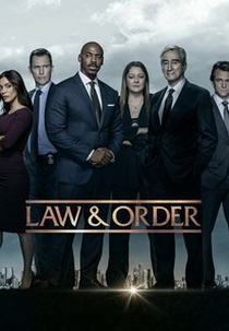 Law & Order (21ª Temporada) (Law & Order (Season 21))