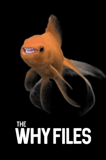 Poster de Franquia The Why Files (2020)