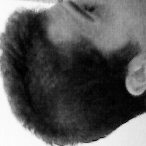 Foto de perfil de Pedro Alles