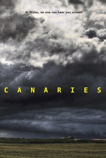 Canaries - Poster / Capa / Cartaz - Oficial 4