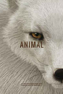 Animal - Poster / Capa / Cartaz - Oficial 1