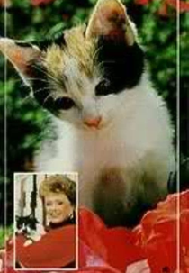 Rue McClanahan: The Cat Care Video Guide (Rue McClanahan: The Cat Care Video Guide)