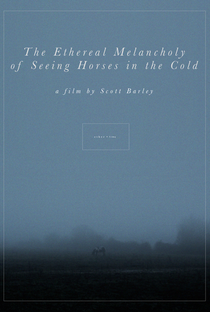 The Ethereal Melancholy of Seeing Horses in the Cold - Poster / Capa / Cartaz - Oficial 1