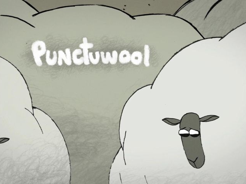 Foto 2 de Punctuwool