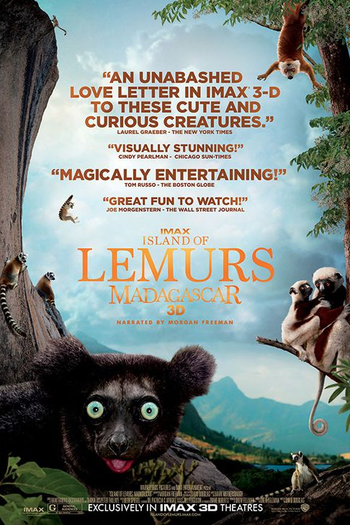  de Curta Ilha dos lêmures - Madagascar (2014)