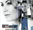 A Anatomia de Grey (14ª Temporada)