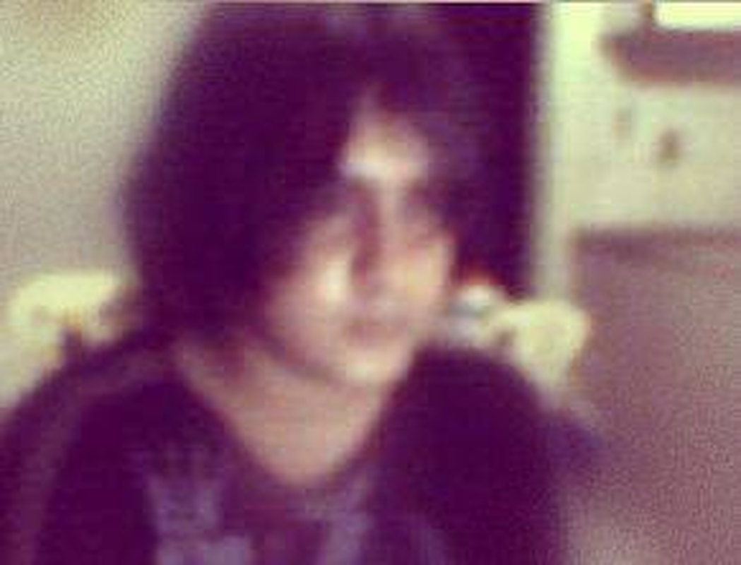 Cani - Foto 4