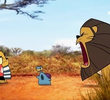The Lion Whisperer