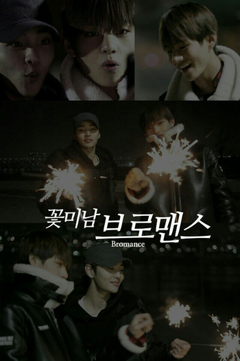 Poster de Série Celebrity Bromance (2016)