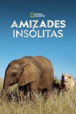 Amizades Insólitas (Unlikely Animal Friends)
