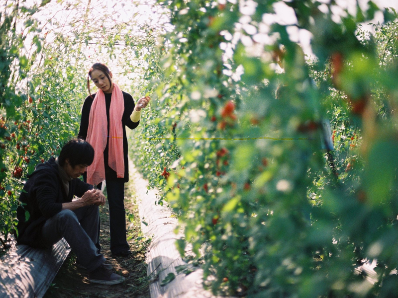 Foto 4 de The Losers