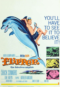 O Menino e o Delfim (Flipper)