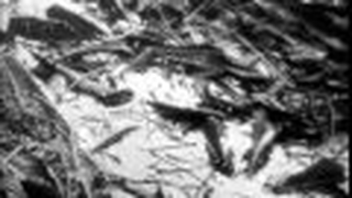 Trailer: Dimitri Kirsanoff - Brumes D'Autumne (1928)