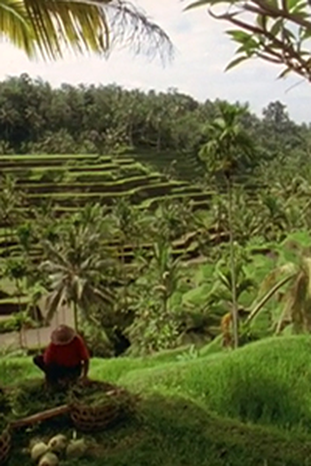 Poster de Episódio Bali (2000)
