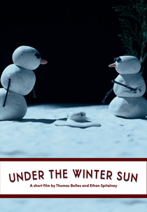 Under The Winter Sun (Under The Winter Sun)