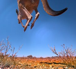 Defying Gravity