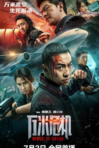 Poster 1 de Filme Wings of Dread (2025)