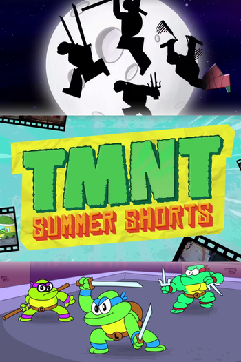 Poster de Franquia TMNT Summer Shorts (2017)