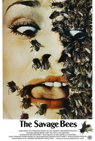 Poster 1 de Filme Abelhas Selvagens (1976)