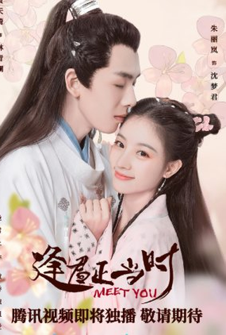 Poster 1 de Série Meet You (2021)