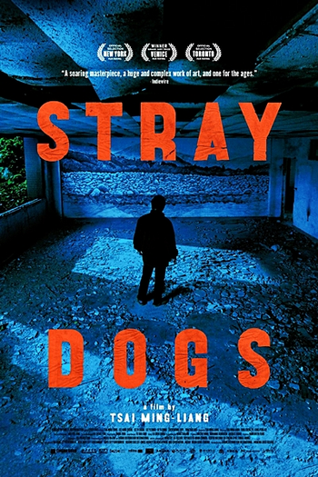  de Filme Cães Errantes (2013)