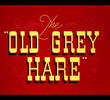 The Old Grey Hare