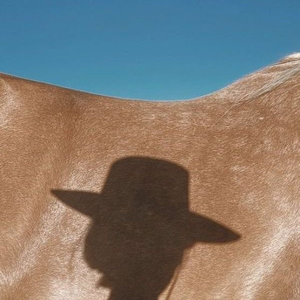 Foto de perfil de Caroline