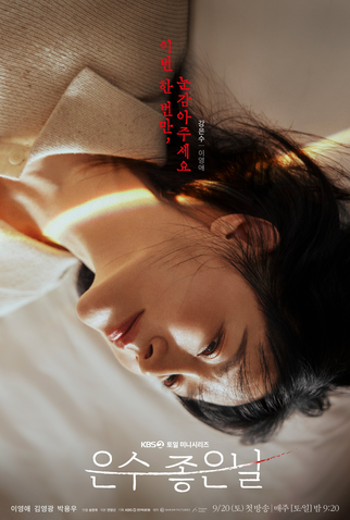 Poster 6 de Série Walking On Thin Ice (2025)