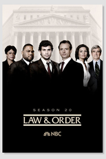 Lei & Ordem (20ª Temporada) (Law & Order (Season 20))