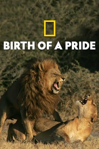  de TV Uma Nova Alcateia (2018)