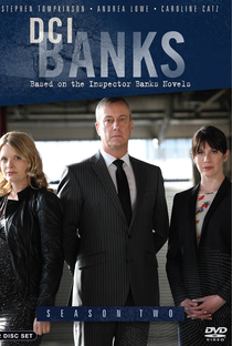 DCI Banks (2ª Temporada) - Poster / Capa / Cartaz - Oficial 1