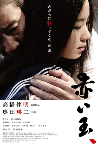 Poster 1 de Filme Bola vermelha (2015)