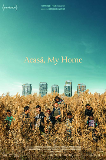 Poster de Filme Acasa, My Home (2020)
