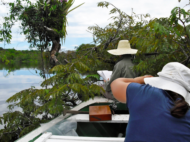 Foto 6 de Margaret Mee e a Flor da Lua